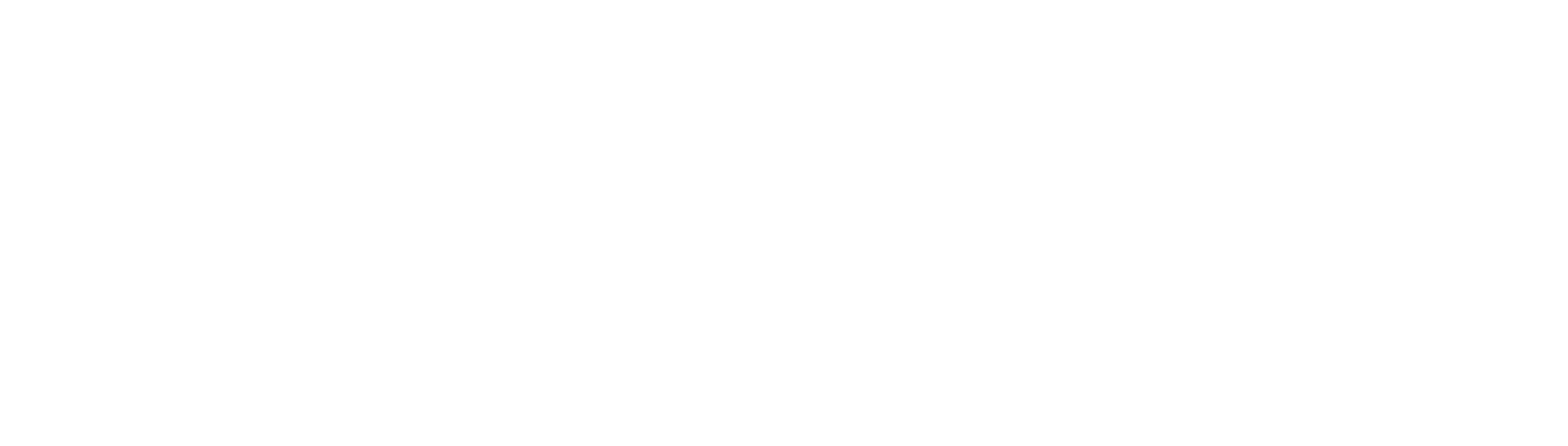 Bullmedia